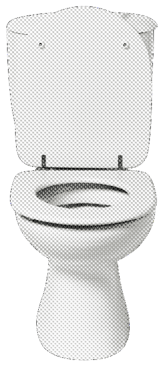FLUSH
